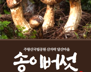 [달산마을]자연산송이버섯150g