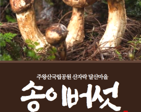 [달산마을]송이버섯 선물세트