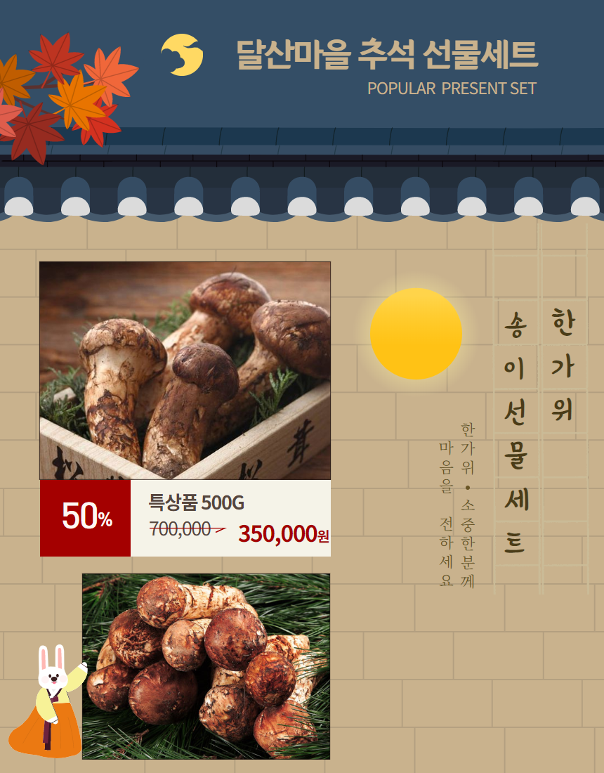 [달산마을]송이버섯 특상품500g 선물세트
