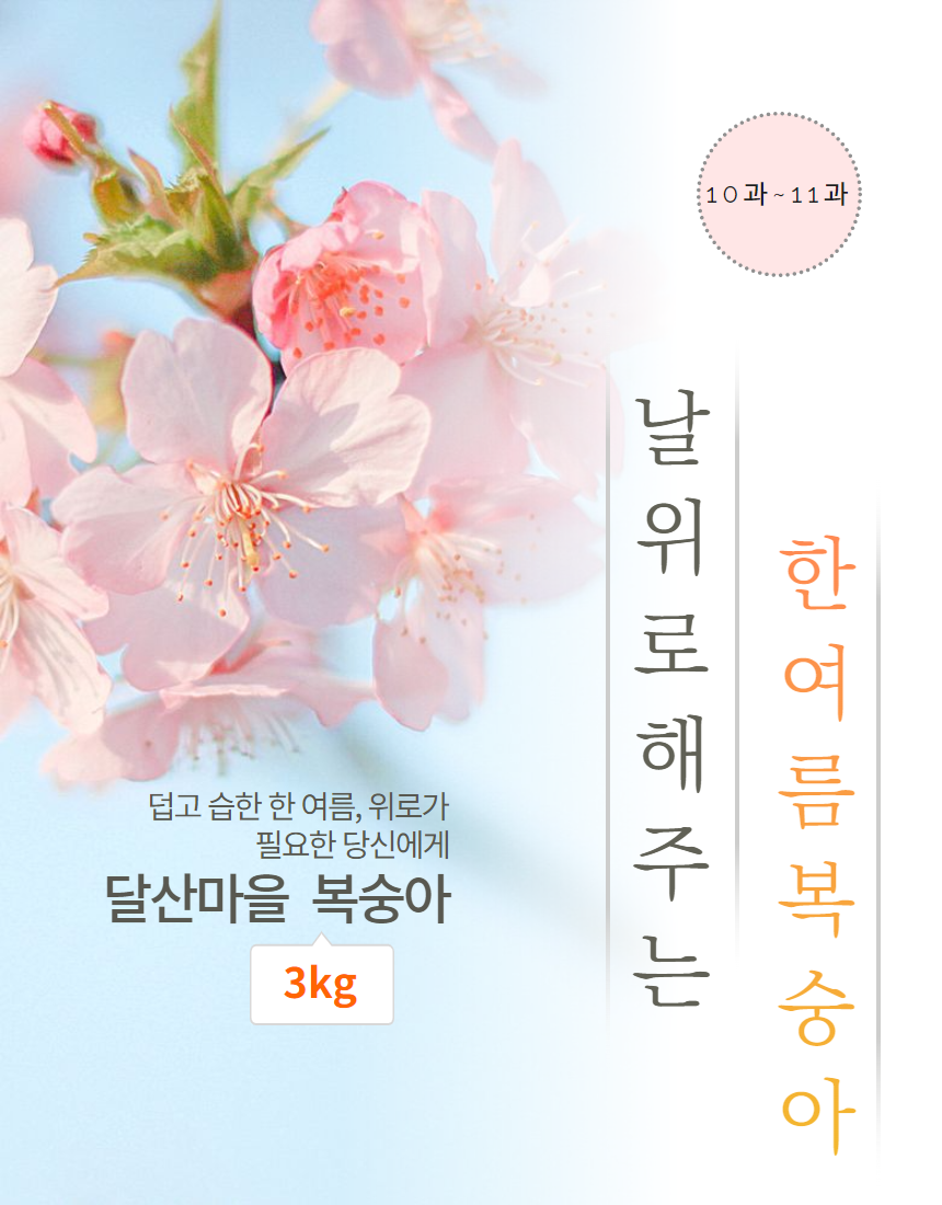 [달산마을]한여름의 맛 딱딱이 복숭아 3kg (10~11과)
