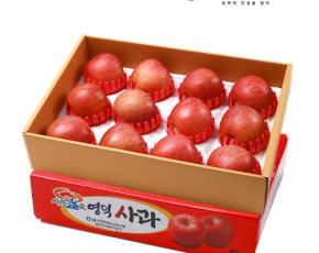 [더파머스] 새콤 달콤 아리수 사과 5kg (12-13과)