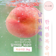 [달산마을]월광백도딱딱이 3kg(8~10과)