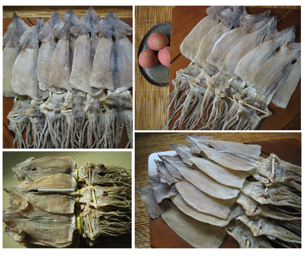 [흥부수산] 활오징어로 만든 마른오징어 2kg 20마리/무료배송
